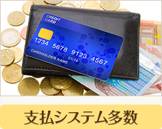 支払システム多数