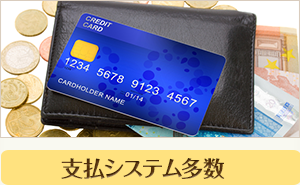 支払システム多数