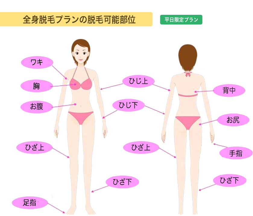 オススメ全身脱毛プランの脱毛可能部位